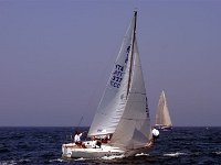 Regata